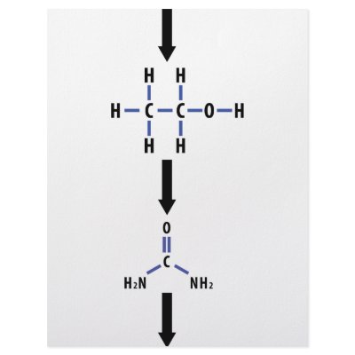 chemical alcohol to urea icon letterhead template by TomaniacLines