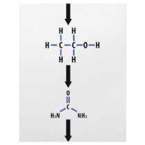 chemical alcohol to urea icon letterhead template