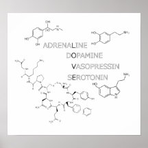 Chemical Structure Love Geek Poster