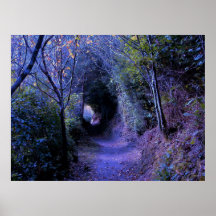 Chemin caché affiches