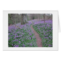 chemin de jacinthe des bois carte de vœux