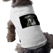 Chemise bleue de chiot de Pitbull Tee-shirts Pour Animaux Domestiques