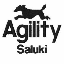 Chemise brodée par Saluki d'agilité