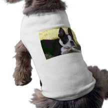 Chemise d'animal familier de chiot de Boston Terri Tee-shirts Pour Chien
