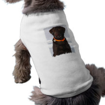 Chemise d'animal familier de Labrador de chocolat Manteaux Pour Toutous
