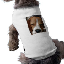 Chemise de chien de beagle de sommeil tee-shirt pour toutou