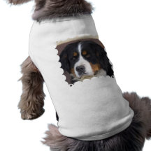 Chemise de chien de Berner Sennenhund T-shirt Pour Chien