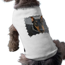 Chemise de chien de Pinscher de dobermann Tee-shirt Pour Animal Domestique