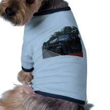 Chemise de chien manteau pour chien