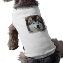 Chemise enrouée de chien manteau pour chien