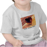 Chemise mignonne et câline de poussin (2) t-shirt