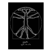 Chêne de Vitruvian Cartes Postales