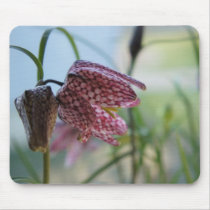 chequered lily mousepads