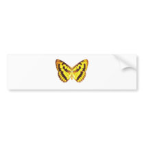 Chequered Skipper Butterfly Bumper Stickers