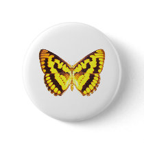 Chequered Skipper Butterfly Pins
