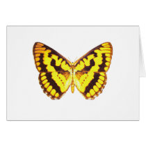 Chequered Skipper Butterfly Card