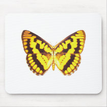 Chequered Skipper Butterfly Mousepads
