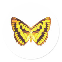 Chequered Skipper Butterfly Round Stickers