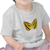 Chequered Skipper Butterfly T Shirt