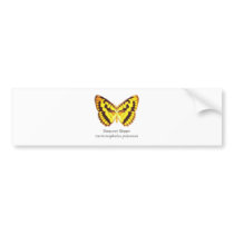 Chequered Skipper Butterfly with Name Bumper Stickers