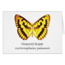 Chequered Skipper Butterfly with Name Greeting Cards