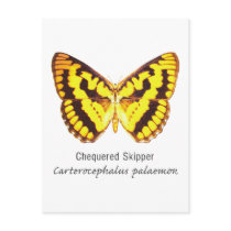 Chequered Skipper Butterfly with Name Postcards