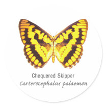 Chequered Skipper Butterfly with Name Round Stickers