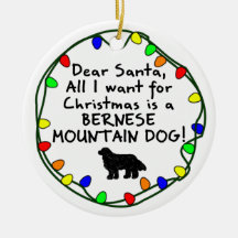 Cher chien de montagne de Père Noël Bernese Ornement De Noël