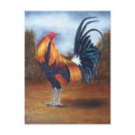 Cherokee-Rooster Postcard