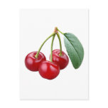 Cherries Cherry Post Cards