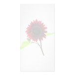 Cherry and Chocolate Sunflower Photo Card