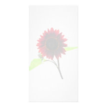 Cherry and Chocolate Sunflower Photo Card