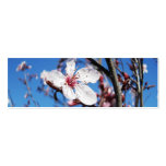 Cherry Blossom 2 Bookmark Business Card