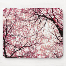 cherry blossom 2 mouse mats