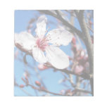 Cherry Blossom 2 Notepads