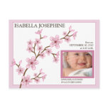Cherry Blossom Baby Girl Birth Announcement: pink