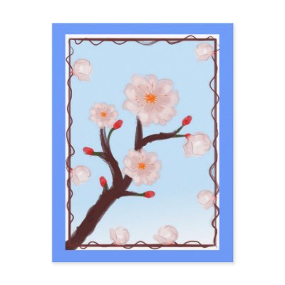 Cherry Blossom Blooms Postcard by elledeegee
