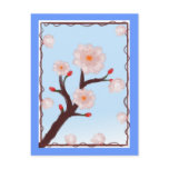 Cherry Blossom Blooms Postcard