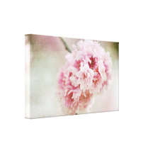 Cherry Blossom Botanical Gallery Wrap Canvas