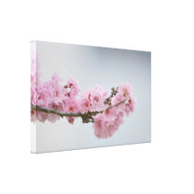 Cherry Blossom Branch Gallery Wrap Canvas