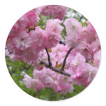 Cherry blossom branch stickers