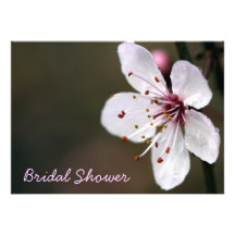 Cherry Blossom Bridal Shower Invitation