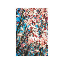 Cherry Blossom Canvas Print