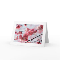 Cherry Blossom Card For any Occasion