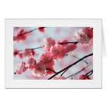 Cherry Blossom Card For any Occasion