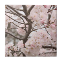 Cherry Blossom Ceramic Tile