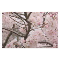 Cherry Blossom Craft Paper Stationery