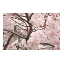 Cherry Blossom Craft Paper Stationery