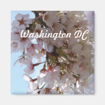 Cherry Blossom Festival Magnet