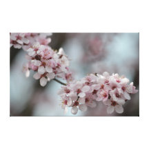 Cherry Blossom Floral Gallery Wrap Canvas